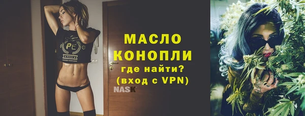 гашик Дмитров