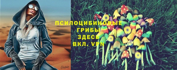 mix Елабуга